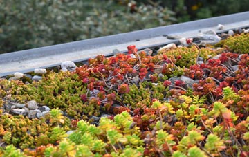 the cost of Grangemill green roof installation