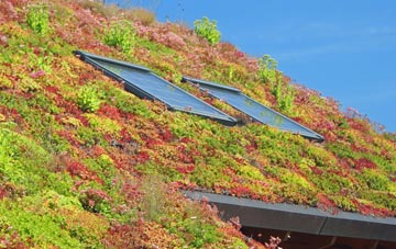 Grangemill living roof systems